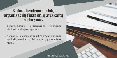Bendruomeninių organizacijų dėmesiui. Kaip teisingai parengti bendruomeninės organizacijos finansines ataskaitas? 1