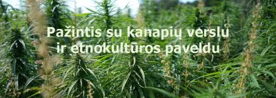 Pažintis su kanapių verslu ir etnokultūros paveldu. Kviečiame dalyvauti nemokamuose renginiuose 1