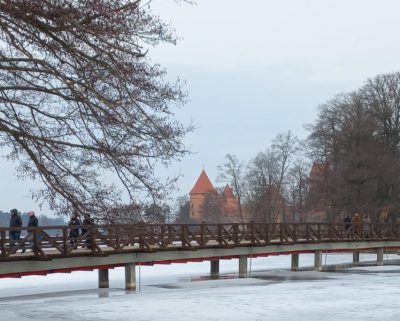 Trakų krašto vietos veiklos grupės nariai pagerbti 2022m. Vytauto Didžiojo apdovanojimuose 7